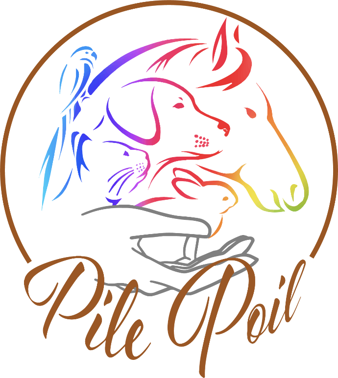 Pile-Poil