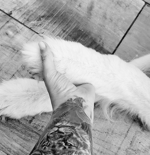 Moment de complicité avec son chien